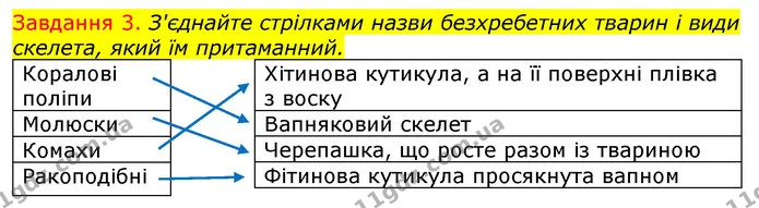 Стор. 68 — 3 (2) — ГДЗ Робочий зошит з Біології 7 клас Яременко — ГДЗ Робочий зошит з Біології 7 клас Яременко