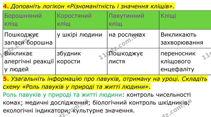 4. Доповніть логікон «Різноманітність і значення кліщів». — ГДЗ робочий зошит Біологія 7 клас Кулініч