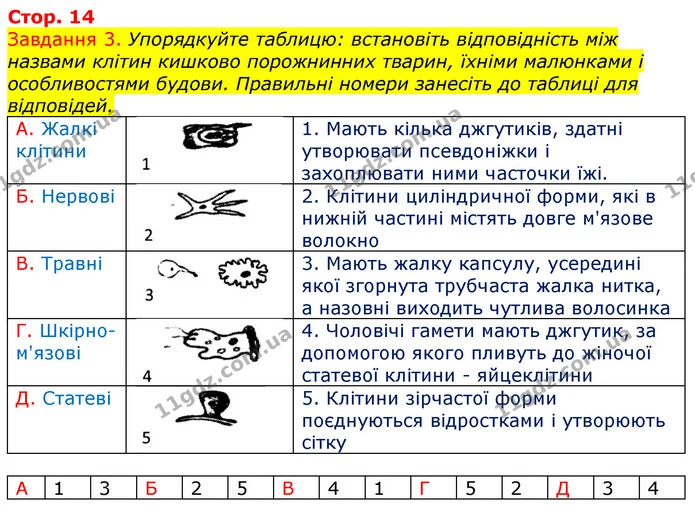 Стор. 14 — 3 — ГДЗ Робочий зошит з Біології 7 клас Яременко — ГДЗ Робочий зошит з Біології 7 клас Яременко