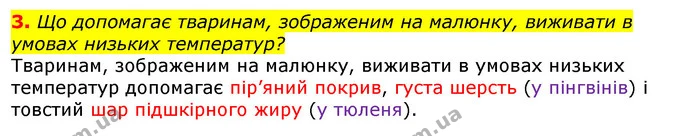 3. Що допомагає тваринам, зображеним на малюнку, виживати в умовах низьких температур? — ГДЗ Природознавство 5 клас Коршевнюк