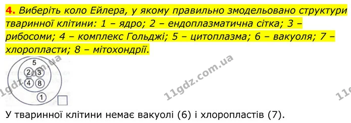 4. Виберіть коло Ейлера, у якому правильно змодельовано структури тваринної клітини: 1 – ядро; 2 – ендоплазматична сітка; 3 – рибосоми — ГДЗ Робочий зошит Біологія 8 клас Кулініч