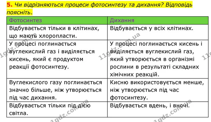 5. Чи відрізняються процеси фотосинтезу та дихання? Відповідь поясніть. — ГДЗ Пізнаємо природу 6 клас Мідак