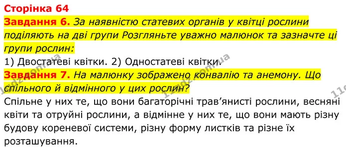 6. За наявністю статевих органів у квітці рослини поділяють на дві групи Розгляньте уважно малюнок та зазначте ці групи рослин: — ГДЗ Робочий зошит Біологія 7 клас Мирна 2024