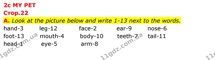 A. Look at the picture below and write 1-13 next to the words. — ГДЗ зошит Англійська мова 5 клас Мітчелл