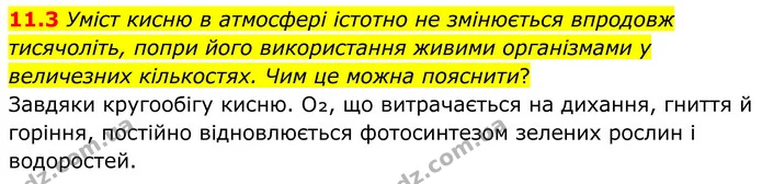 11.3 Уміст кисню в атмосфері істотно не змінюється впродовж тисячоліть, попри його використання живими організмами у величезних — ГДЗ Робочий зошит Хімія 8 клас Григорович