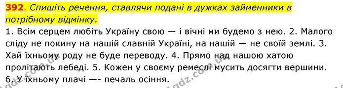 392. Спишіть речення, ставлячи подані в дужках займенники в потрібному відмінку. — ГДЗ Українська мова 6 клас Ворон, Солопенко