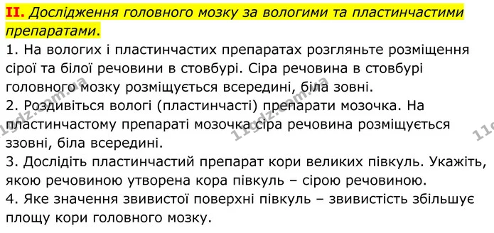 Стор. 13 — 2 — ГДЗ Робочий зошит Біологія 8 клас Кулініч — ГДЗ Робочий зошит Біологія 8 клас Кулініч