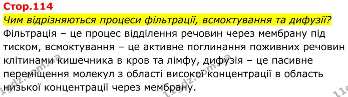 Чим відрізняються процеси фільтрації, всмоктування та дифузії? — ГДЗ Біологія 8 клас Балан