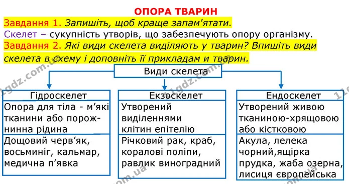 Стор. 68 — 1-2 (2) — ГДЗ Робочий зошит з Біології 7 клас Яременко — ГДЗ Робочий зошит з Біології 7 клас Яременко