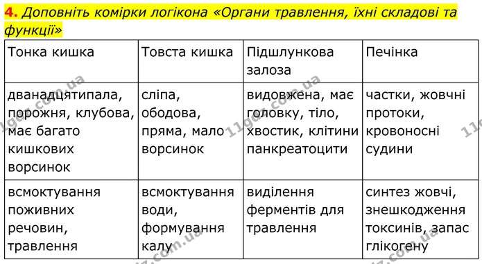 4. Доповніть комірки логікона «Органи травлення, їхні складові та функції» — ГДЗ Робочий зошит Біологія 8 клас Кулініч