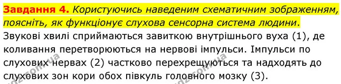 Стор. 109 — 4 — ГДЗ Робочий зошит біологія 8 клас Мирна — ГДЗ Робочий зошит біологія 8 клас Мирна