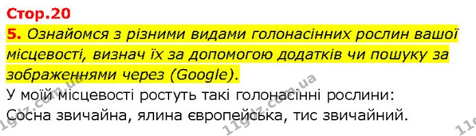 5. Ознайомся з різними видами голонасінних рослин вашої місцевості, визнач їх за допомогою додатків чи пошуку за зображеннями через — ГДЗ робочий зошит Біологія 7 клас Тагліна