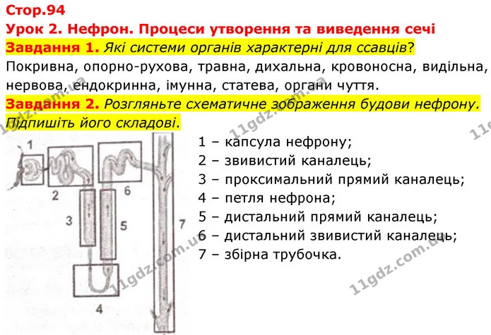 Стор. 94 — 1-2 — ГДЗ Робочий зошит біологія 8 клас Мирна — ГДЗ Робочий зошит біологія 8 клас Мирна
