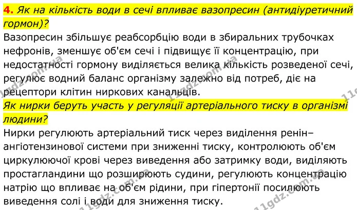4. Як на кількість води в сечі впливає вазопресин (антидіуретичний гормон)? — ГДЗ Біологія 8 клас Балан