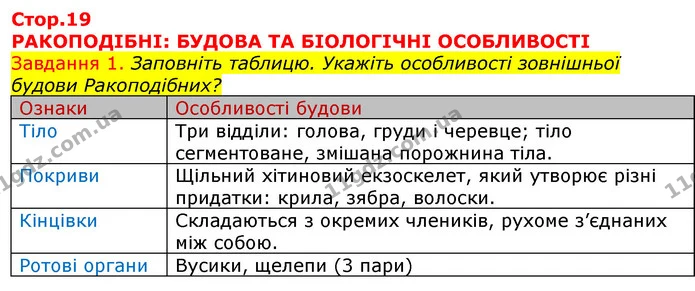 Стор. 19 — 1 — ГДЗ Робочий зошит з Біології 7 клас Яременко — ГДЗ Робочий зошит з Біології 7 клас Яременко