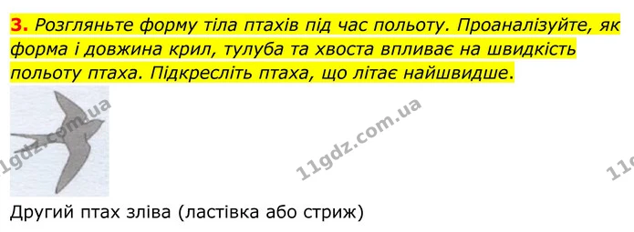 3. Розгляньте форму тіла птахів під час польоту. Проаналізуйте, як форма і довжина крил, тулуба та хвоста впливає на швидкість польоту — ГДЗ робочий зошит Біологія 7 клас Кулініч