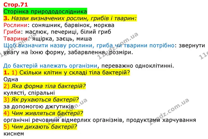 3. Назви визначених рослин, грибів і тварин: — ГДЗ Робочий зошит Природознавство 5 клас Коршевнюк
