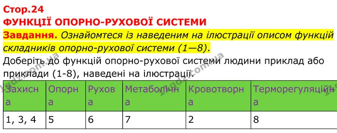 Завдання. Ознайомтеся із наведеним на ілюстрації описом функцій складників опорно-рухової системи (1—8). — ГДЗ робочий зошит Біологія 8 клас Андерсон