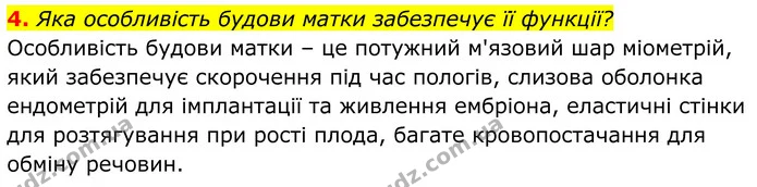 4. Яка особливість будови матки забезпечує її функції? — ГДЗ Біологія 8 клас Балан