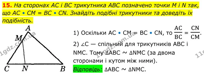 15 — ГДЗ Геометрія 8 клас Істер