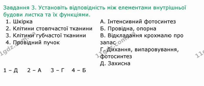 Стор. 32 — 3 — ГДЗ Робочий зошит Біологія 6 клас Мечник — ГДЗ Робочий зошит Біологія 6 клас Мечник