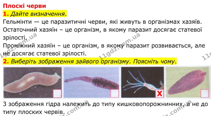 1. Дайте визначення. — ГДЗ робочий зошит Біологія 7 клас Кулініч