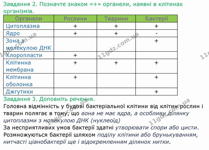 Стор. 19 — 2-3 — ГДЗ Робочий зошит Біологія 6 клас Мечник — ГДЗ Робочий зошит Біологія 6 клас Мечник