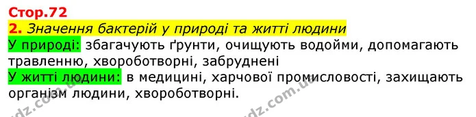 2. Значення бактерій у природі та житті людини — ГДЗ Робочий зошит Природознавство 5 клас Коршевнюк