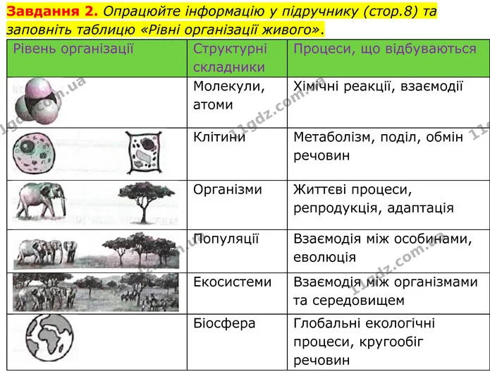 2. Опрацюйте інформацію у підручнику (стор.8) та заповніть таблицю «Рівні організації живого». — ГДЗ Робочий зошит Біологія 7 клас Мирна 2024