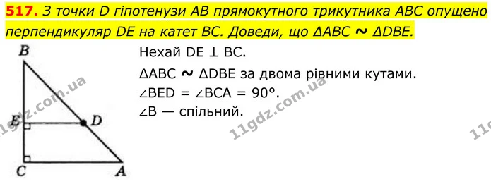 517. З точки D гіпотенузи AB прямокутного трикутника ABC опущено — ГДЗ Геометрія 8 клас Бевз