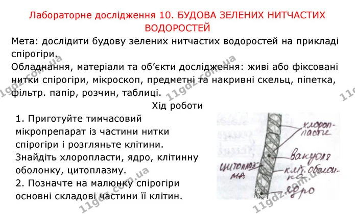 Стор. 67 — 2 — ГДЗ Робочий зошит Біологія 6 клас Соболь — ГДЗ Робочий зошит Біологія 6 клас Соболь
