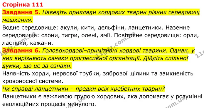 5. Наведіть приклади хордових тварин різних середовищ мешкання. — ГДЗ Робочий зошит Біологія 7 клас Мирна 2024