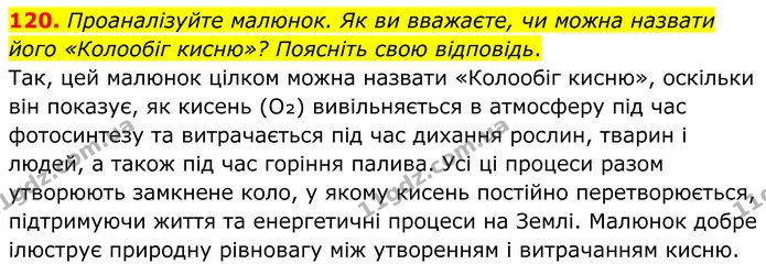 120. Проаналізуйте малюнок. Як ви вважаєте, чи можна назвати його «Колообіг кисню»? Поясніть свою відповідь. — ГДЗ Хімія 8 клас Григорович