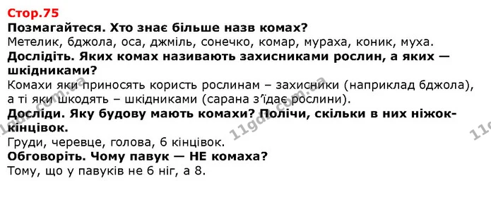 Поміркуй і досліди, що означає це слово. — Решебник Я досліджую світ 1 клас Грущинська