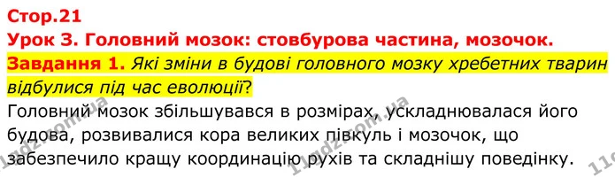 Стор. 21 — 1 — ГДЗ Робочий зошит біологія 8 клас Мирна — ГДЗ Робочий зошит біологія 8 клас Мирна