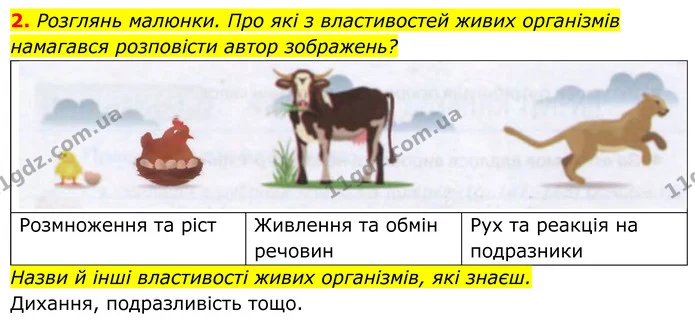 2. Розглянь малюнки. Про які з властивостей живих організмів намагався розповісти автор зображень? — ГДЗ робочий зошит Пізнаємо природу 5 клас Коршевнюк