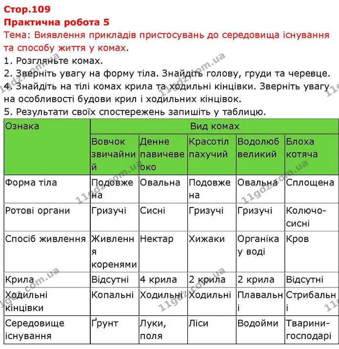 Пр.5 (1) — ГДЗ робочий зошит Біологія 7 клас Кулініч — ГДЗ робочий зошит Біологія 7 клас Кулініч