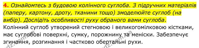 4. Ознайомтесь з будовою колінного суглоба. З підручних матеріалів (паперу, картону, дроту, тканини тощо) змоделюйте суглоб (на вибір) — ГДЗ Робочий зошит Біологія 8 клас Кулініч