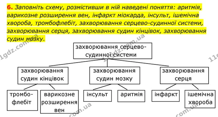 6. Заповніть схему, розмістивши в ній наведені поняття: аритмія, — ГДЗ Робочий зошит Біологія 8 клас Задорожний