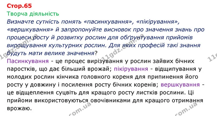Стор. 65 — 1 — ГДЗ Робочий зошит Біологія 6 клас Соболь — ГДЗ Робочий зошит Біологія 6 клас Соболь