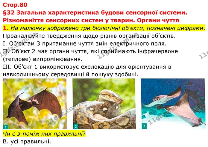 1. На малюнку зображено три біологічні об'єкти, позначені цифрами. — ГДЗ Робочий зошит Біологія 8 клас Тагліна (2025)