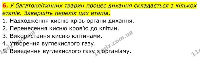 1. Прочитайте твердження. Оберіть правильну відповідь. — частина 6 — ГДЗ Робочий зошит Біологія 8 клас Тагліна (2025)