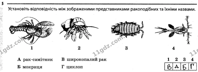 5. Установіть відповідність між зображеними представниками ракоподібних та їхніми назвами. — ГДЗ Робочий зошит Біологія 7 клас Задорожний