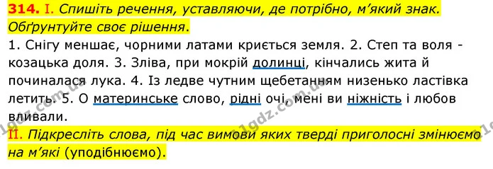 314. І. Спишіть речення, уставляючи, де потрібно, м’який знак. Обґрунтуйте своє рішення. — ГДЗ Українська мова 5 клас Заболотний 2022