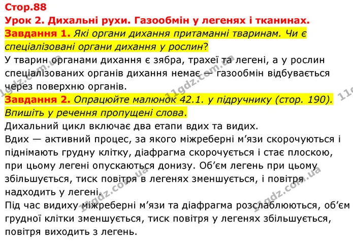 Стор. 88 — 1-2 — ГДЗ Робочий зошит біологія 8 клас Мирна — ГДЗ Робочий зошит біологія 8 клас Мирна