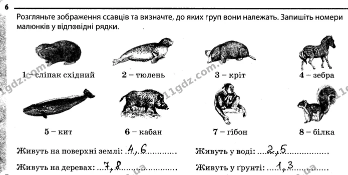 6. Розгляньте зображення ссавців та визначте, до яких груп вони належать. Запишіть номери малюнків у відповідні рядки. — ГДЗ Робочий зошит Біологія 7 клас Задорожний