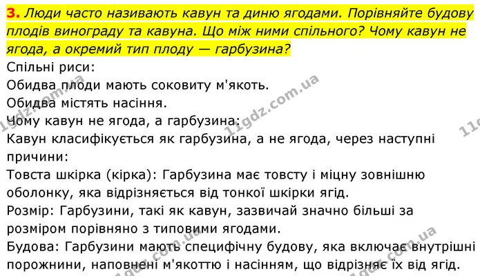 3. Люди часто називають кавун та диню ягодами. Порівняйте будову плодів винограду та кавуна. Що між ними спільного? Чому кавун не — ГДЗ Біологія 7 клас Тагліна