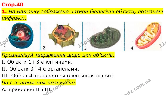 1. На малюнку зображено чотири біологічні об'єкти, позначені цифрами. — ГДЗ робочий зошит Біологія 7 клас Тагліна