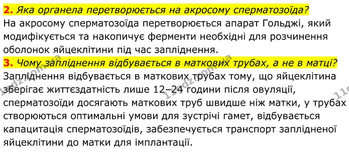 2. Яка органела перетворюється на акросому сперматозоїда? — ГДЗ Біологія 8 клас Балан