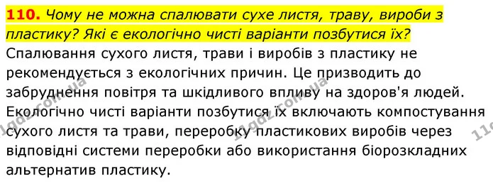 110. Чому не можна спалювати сухе листя, траву, вироби з пластику? Які є екологічно чисті варіанти позбутися їх? — ГДЗ Українська мова 6 клас Заболотний 2023